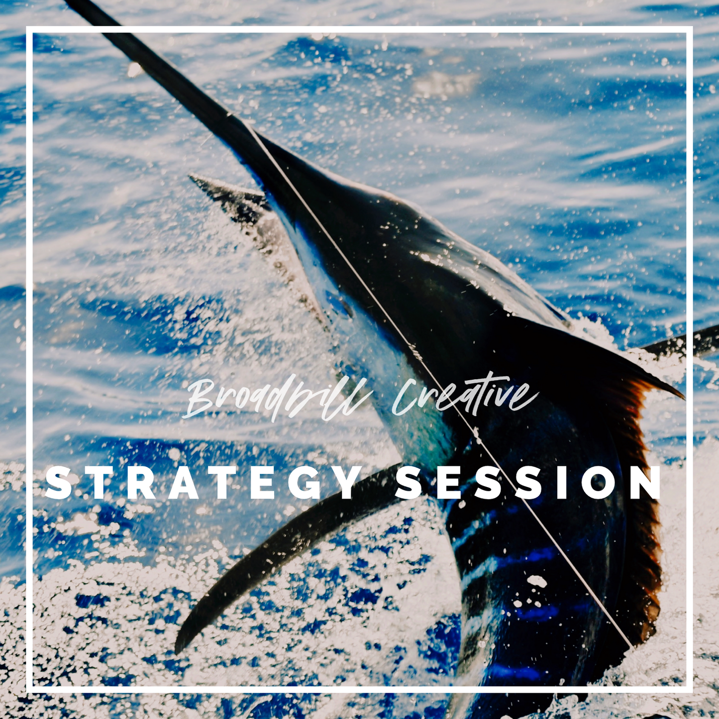 Broadbill Strategy Session