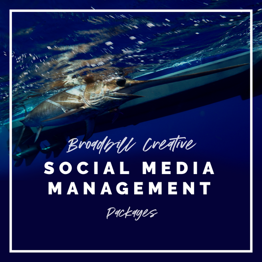 Social Media Management Packages